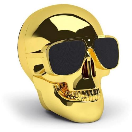 Accueil enceinte portable jarre tete de mort chrome dore