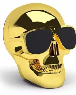 Enceinte Tête de Mort